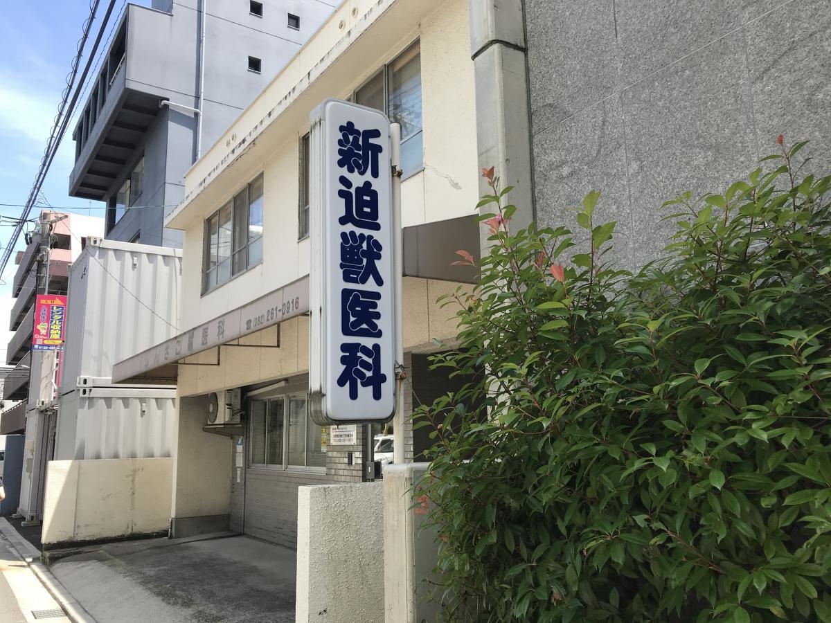 獣医科