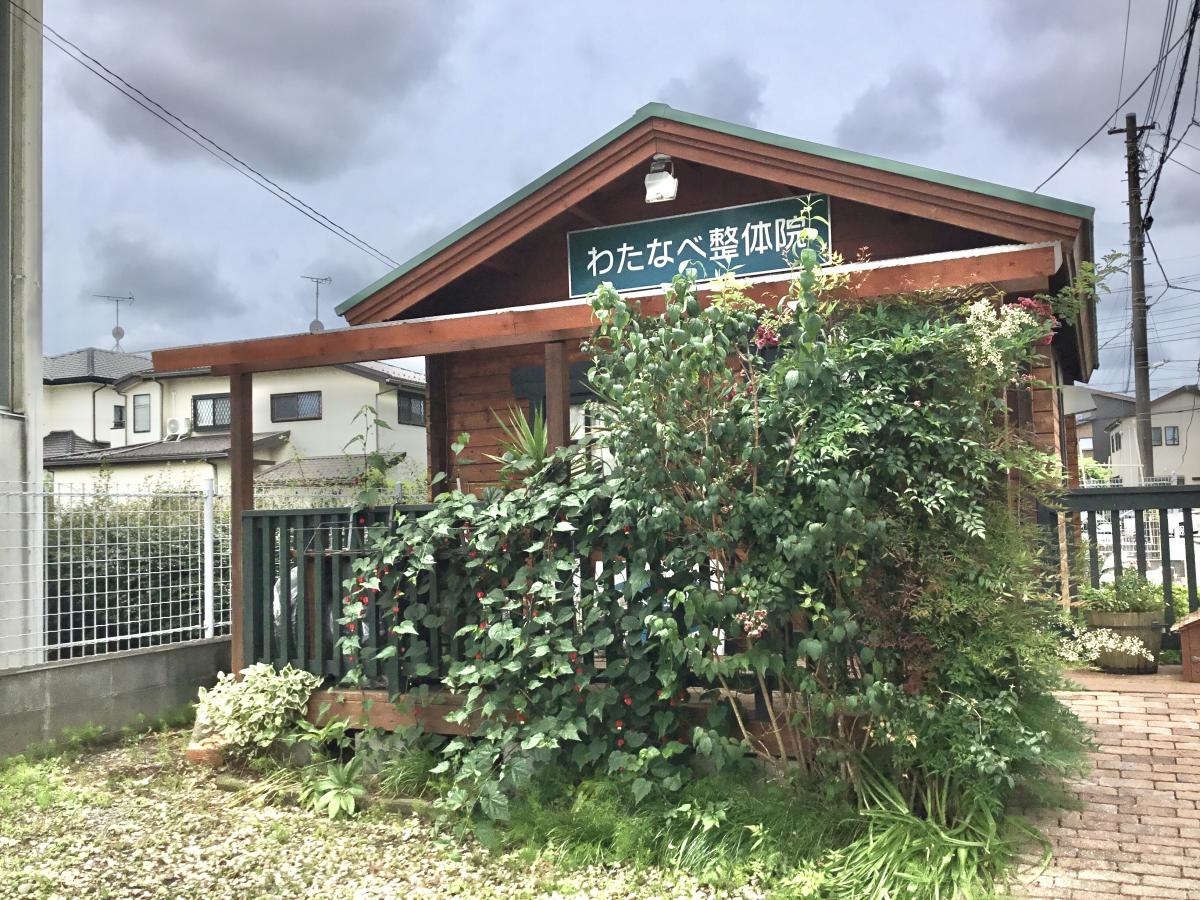 みどりあふれる店舗