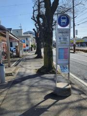「大井総合支所前」バス停留所