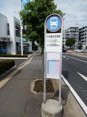「大井総合支所前」バス停留所