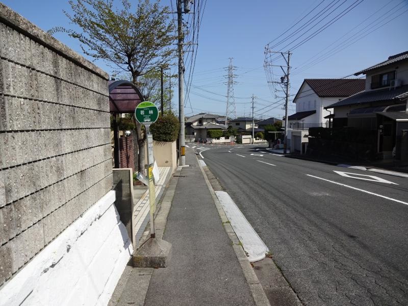 フリー若林バス停