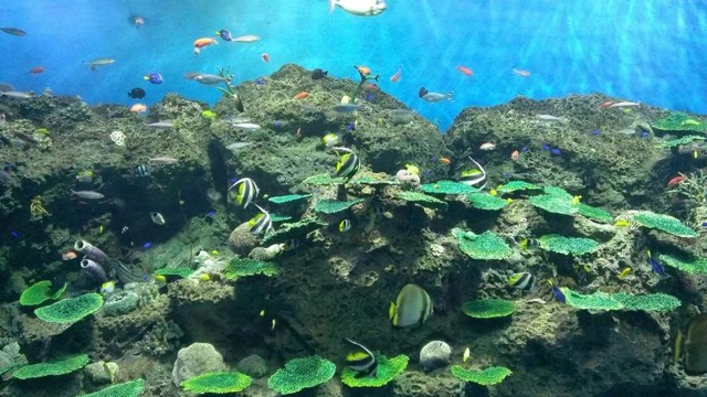 施設写真533
