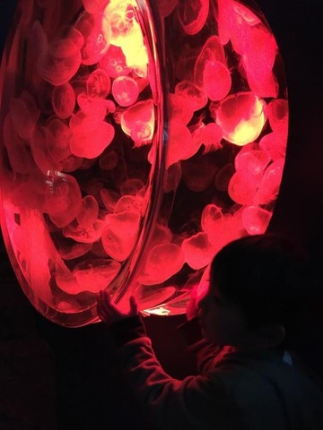 施設写真529