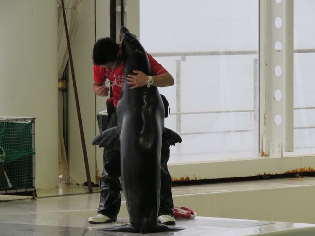 施設写真514
