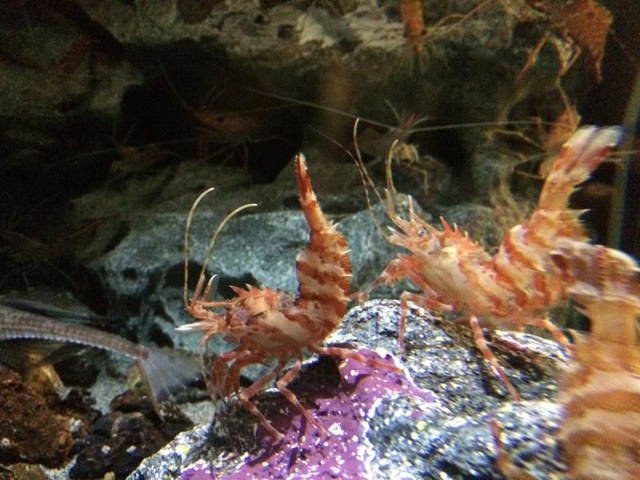 施設写真480