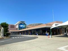 アクアワールド茨城県大洗水族館