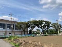 国分寺小学校