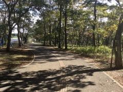 松虫姫公園