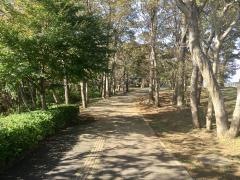 松虫姫公園