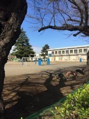 富士見丘小学校