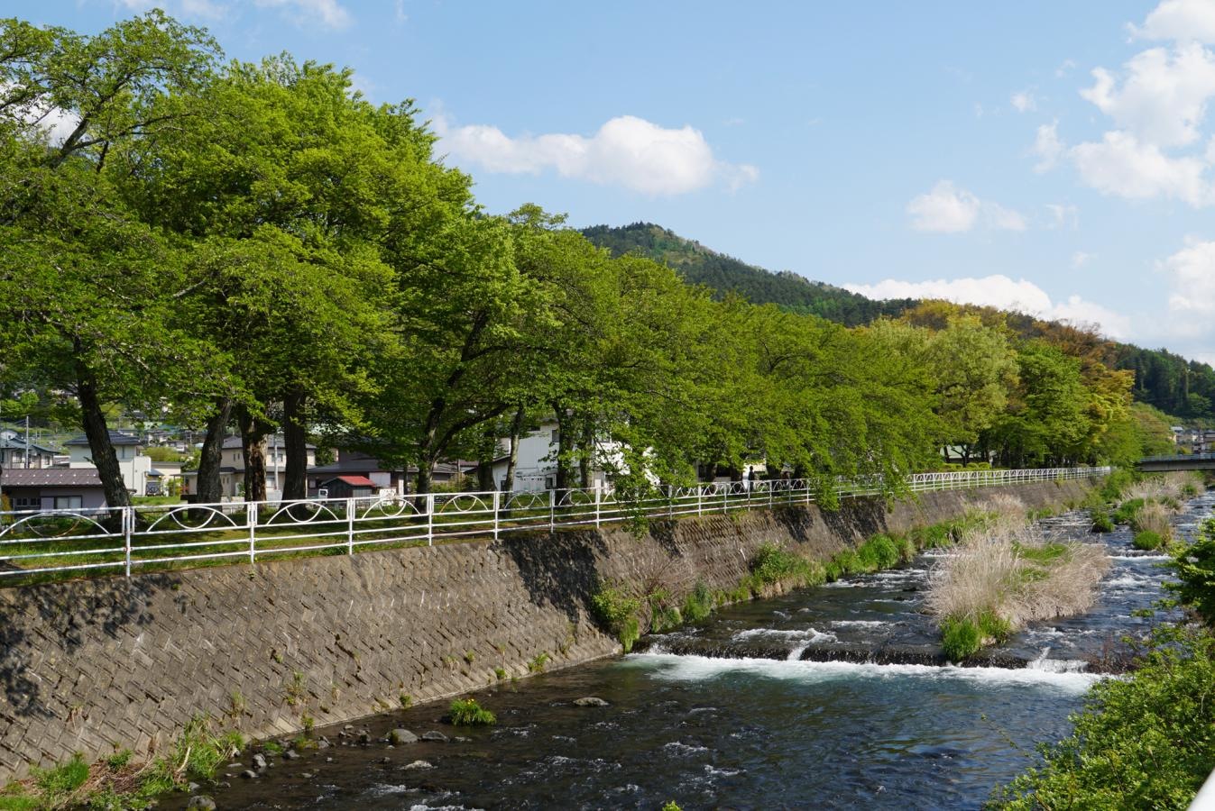 桂川河川公園 全景