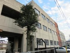 児玉小学校
