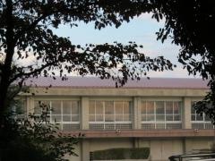 児玉小学校