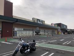 フィール美浜店