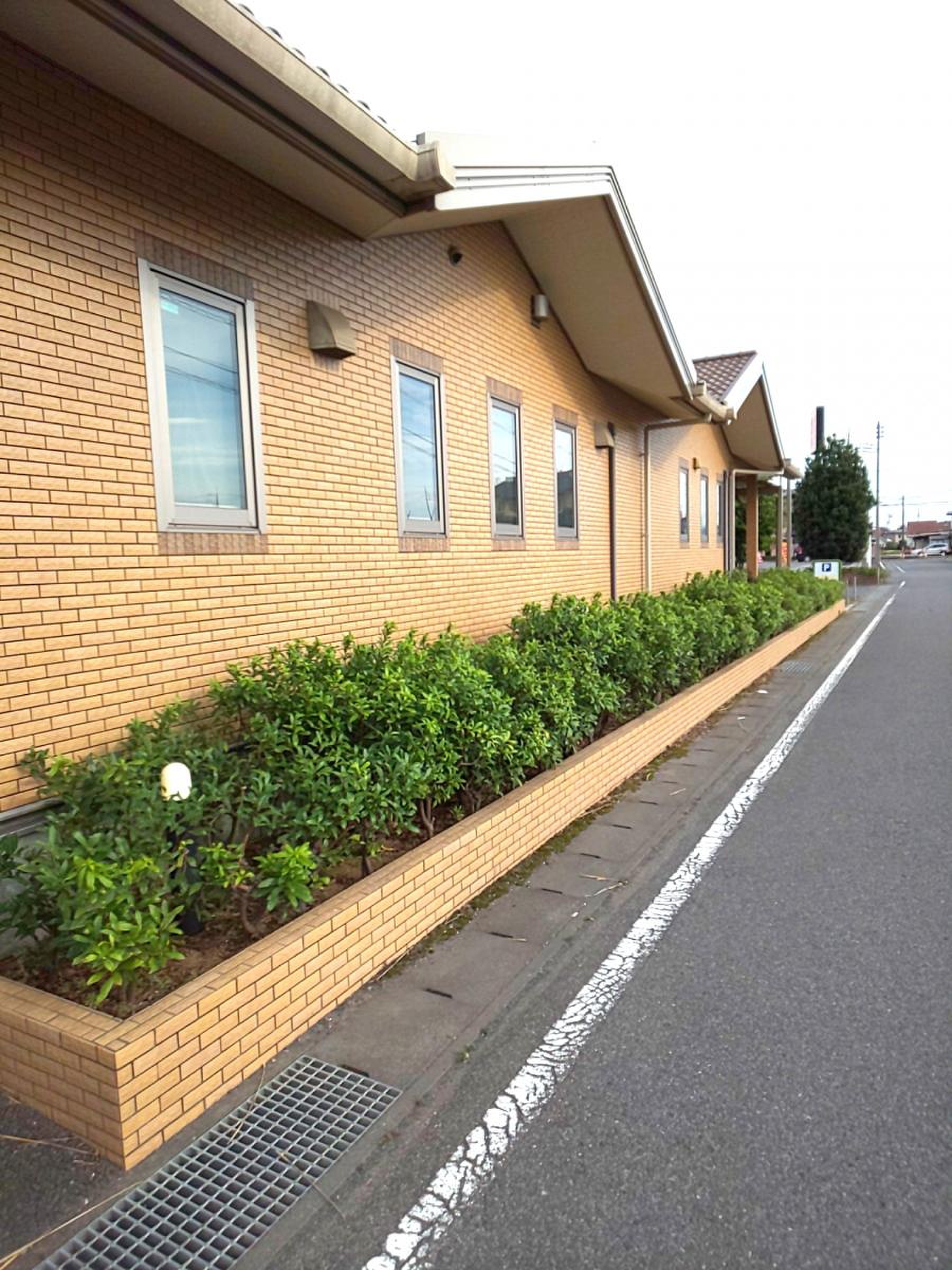 こ やなぎ 小児科