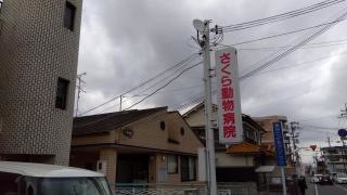 大門動物病院