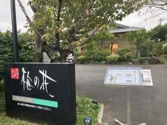 梅の花　川越店