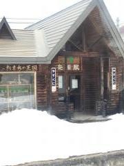安国駅