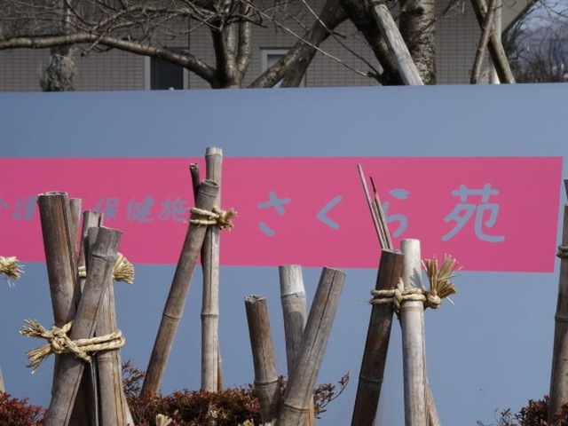 さくら苑 看板