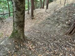白山城跡