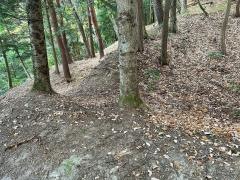 白山城跡