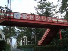私立聖セシリア小学校