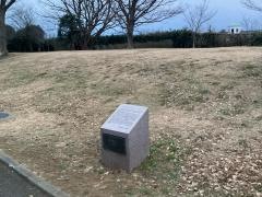 山手高台