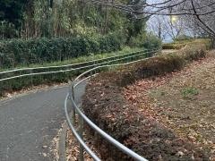 山手高台