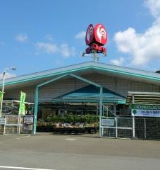 コメリハード＆グリーン　美浜店