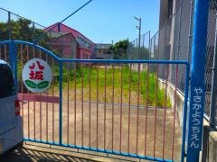 八坂幼稚園