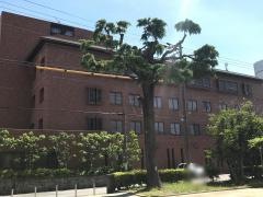 刈谷整形外科病院