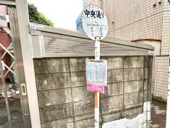 「中央通り(東京都)」バス停留所