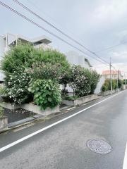 シャローム本天沼
