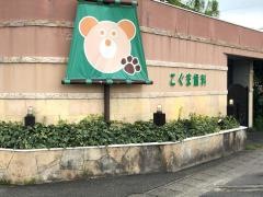 こぐま歯科