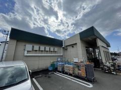 スーパーカドイケ　本店