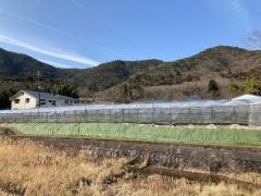 藤浦果樹園