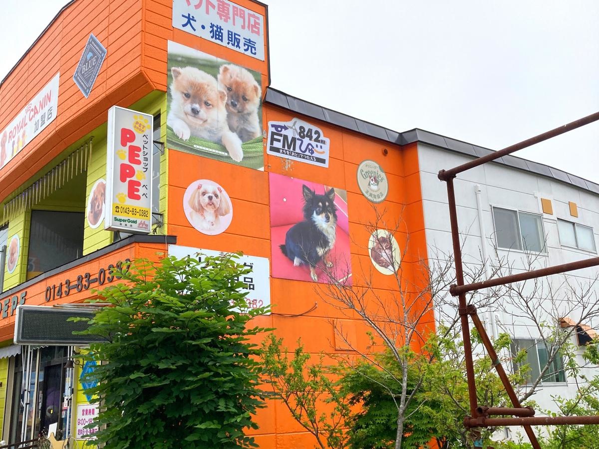 外観