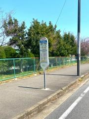 「松葉第一小学校前」バス停留所