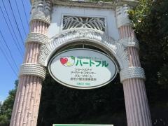 ハートフル