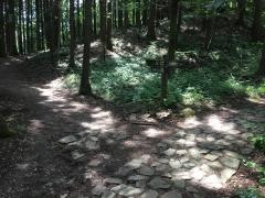 仙台市太白山自然観察の森