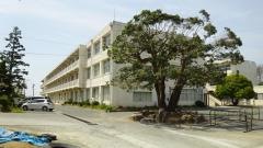 岡崎小学校
