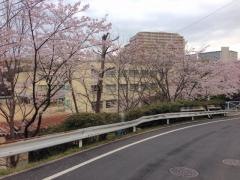 若松台小学校