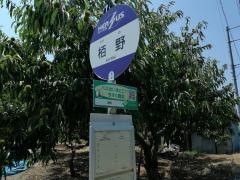 「椿野」バス停留所