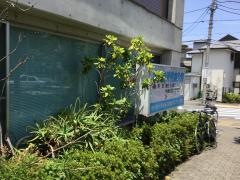 中沢接骨鍼灸院