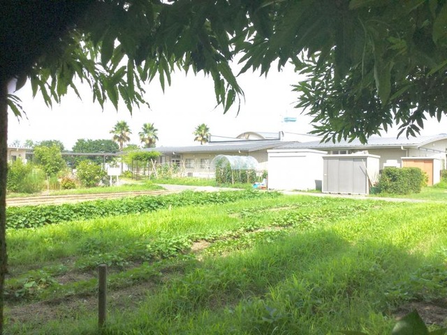 よしい川