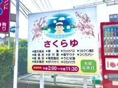 ファミリーアイランドさくらゆ