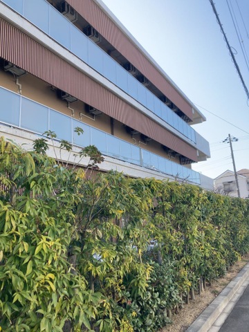 特別養護老人ホーム　向陽荘