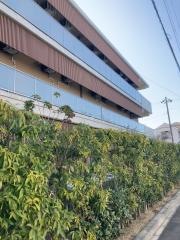 特別養護老人ホーム　向陽荘