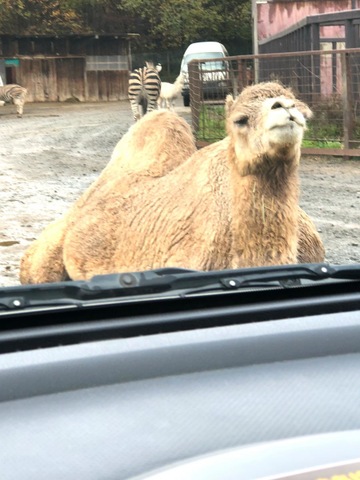 施設写真23