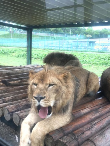 施設写真24